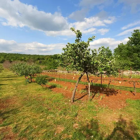 Spignoviza Casa de Férias