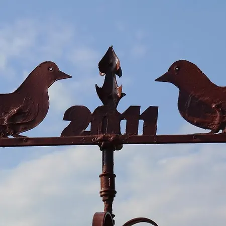 Spignoviza Casa de Férias Kanfanar