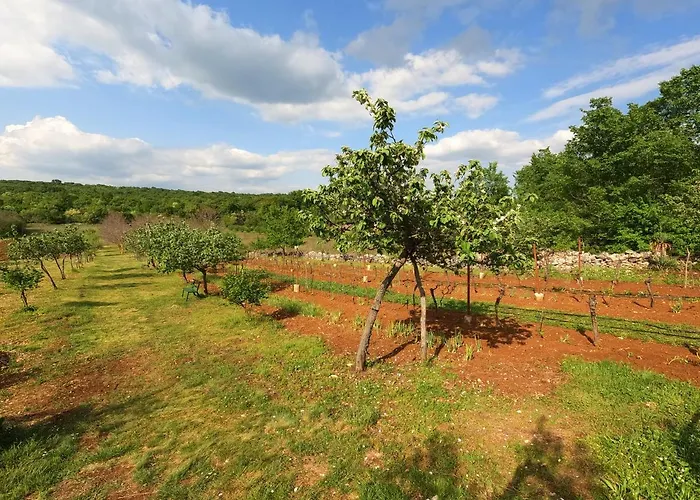 Spignoviza Σπίτι διακοπών